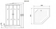 Душевая кабина Niagara Premium 100x100 NG-6002-01GD с гидромассажем