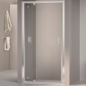 Душевая дверь RGW Passage PA-105 100 410810510-11 профиль Хром стекло прозрачное