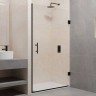 Душевая дверь RGW Passage PA-06 B 80 41080608-14 профиль Черный стекло прозрачное