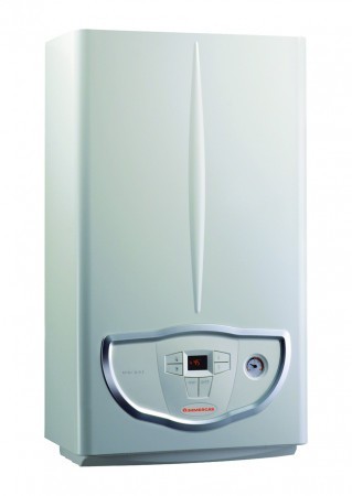 Настенный газовый двухконтурный котел отопления IMMERGAS Mini Eolo 24 3 E