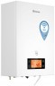 Электрический котёл отопления настенный Thermex Tesla 12-24 Wi-Fi двухконтурный