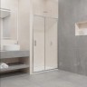 Душевая дверь RGW Passage PA-016 160 350801616-11 профиль Хром стекло прозрачное