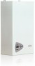 Настенный газовый двухконтурный котел отопления Ferroli Vitabel C24