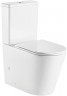 Унитаз компакт WeltWasser Salzbach 011 GL-WT 10000011688 с бачком и сиденьем Микролифт