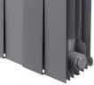 Биметаллический секционный радиатор отопления Royal Thermo PianoForte Silver Satin 200 / 20 секций