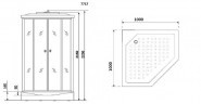 Душевая кабина Niagara Luxe NG-7717G 100x100 с гидромассажем