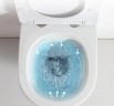 Унитаз Ceruttispa Adige Aria MW CT9245 подвесной Белый матовый с сиденьем Микролифт