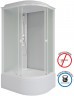Душевая кабина Niagara Promo 100x80 L P100/80/40L/MT без гидромассажа