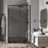 Душевая дверь WasserKRAFT Dill 110 61S13 профиль Черный матовый стекло прозрачное