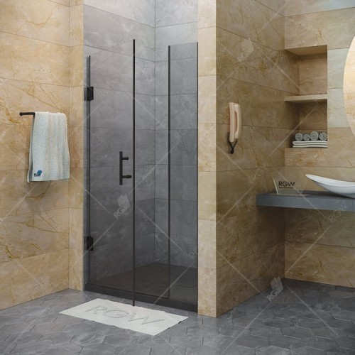 Душевая дверь RGW Hotel HO-012-B 350601200-14 профиль Черный стекло прозрачное